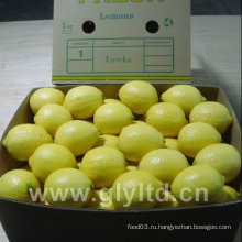 Высокое качество свежих лимонов